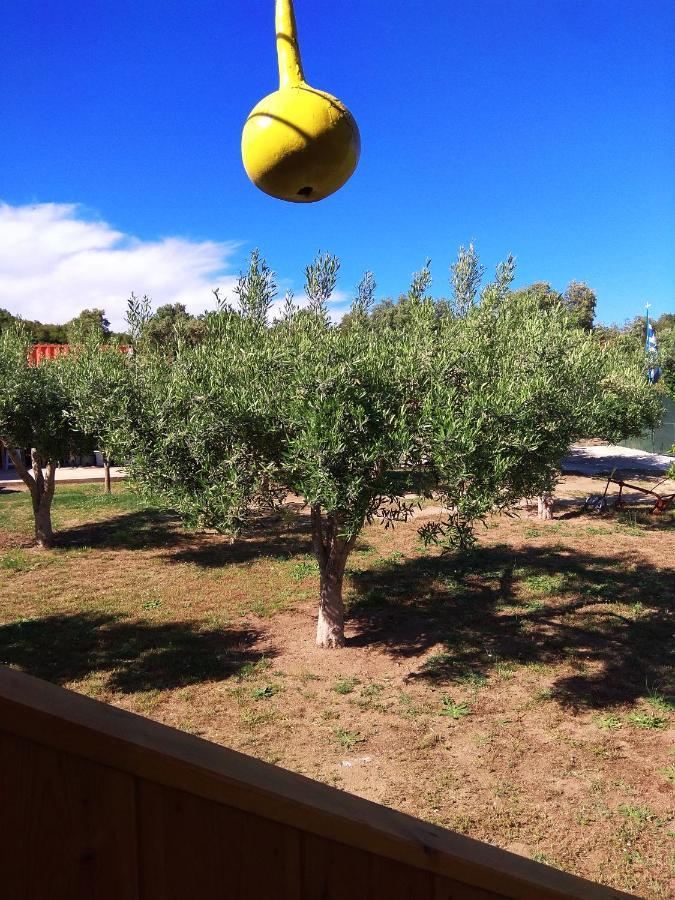 Farma Giannis Appartement Sarti Buitenkant foto